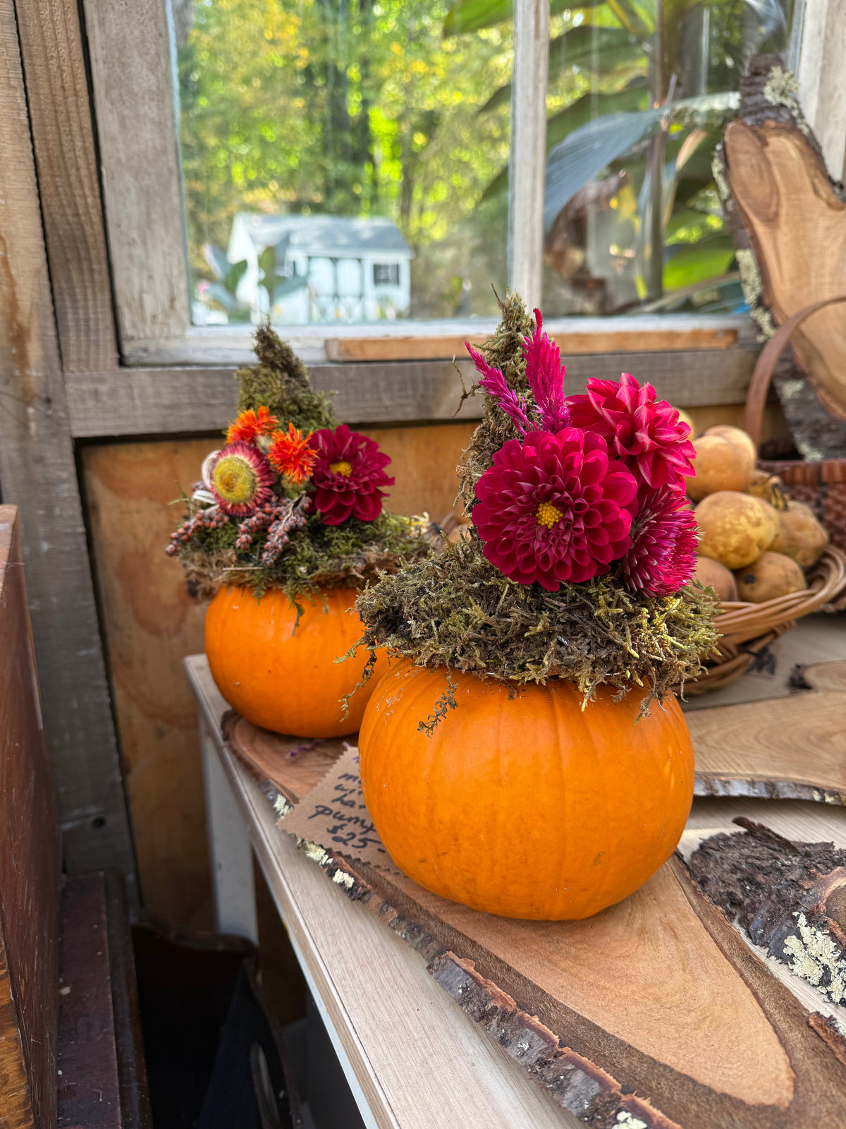 Fall Collection