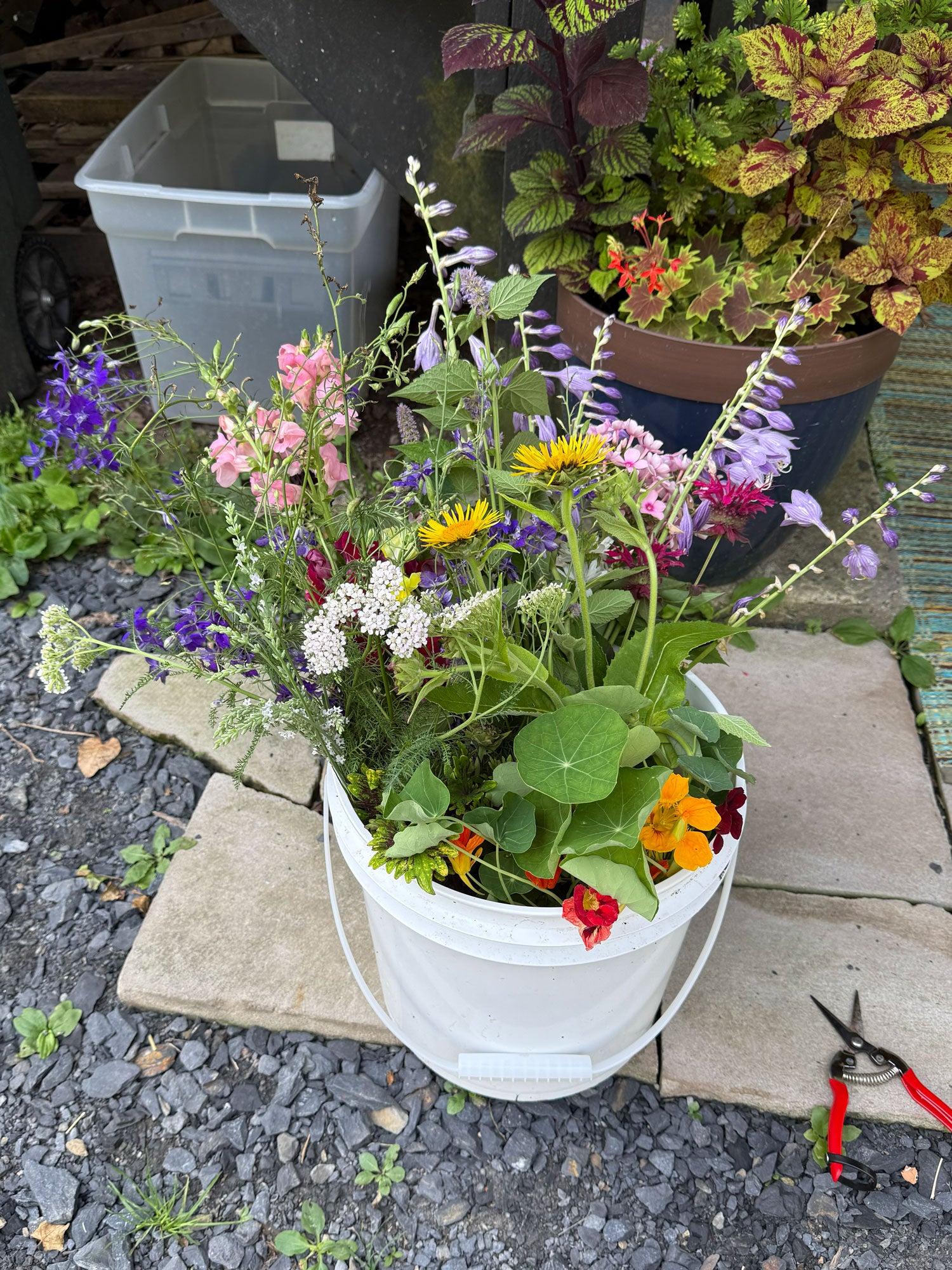 White bucket filled with colorful flowers on a stone surface with plants and a gray container in the background.