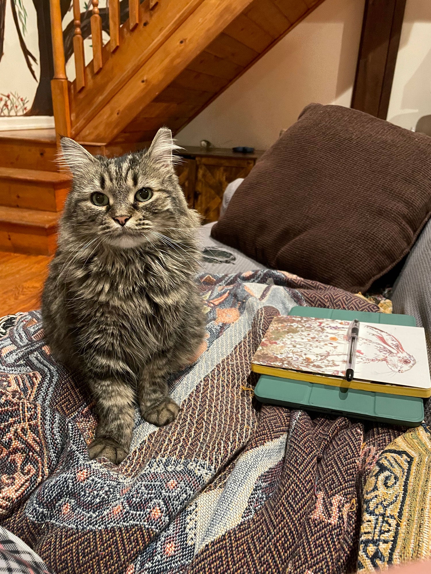 Cat sitting on a patterned blanket with books on a couch, wooden staircase in the background