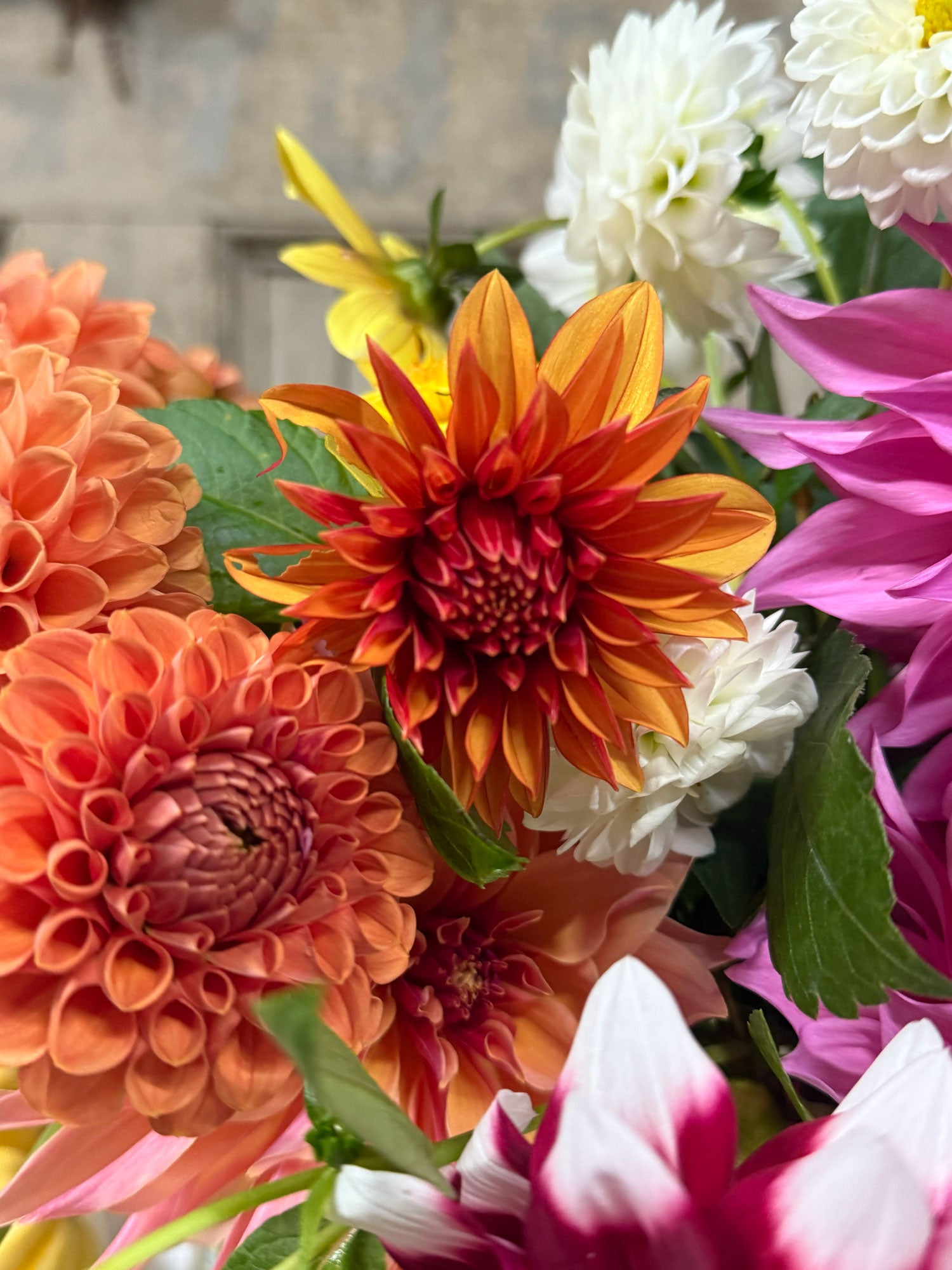 Bouquet of colorful flowers including orange, pink, and white dahlias.