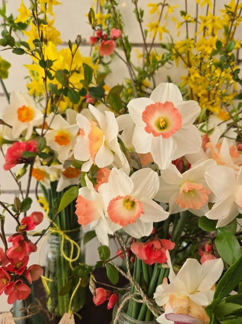 Bouquet of white and pink daffodils with green leaves and stems.