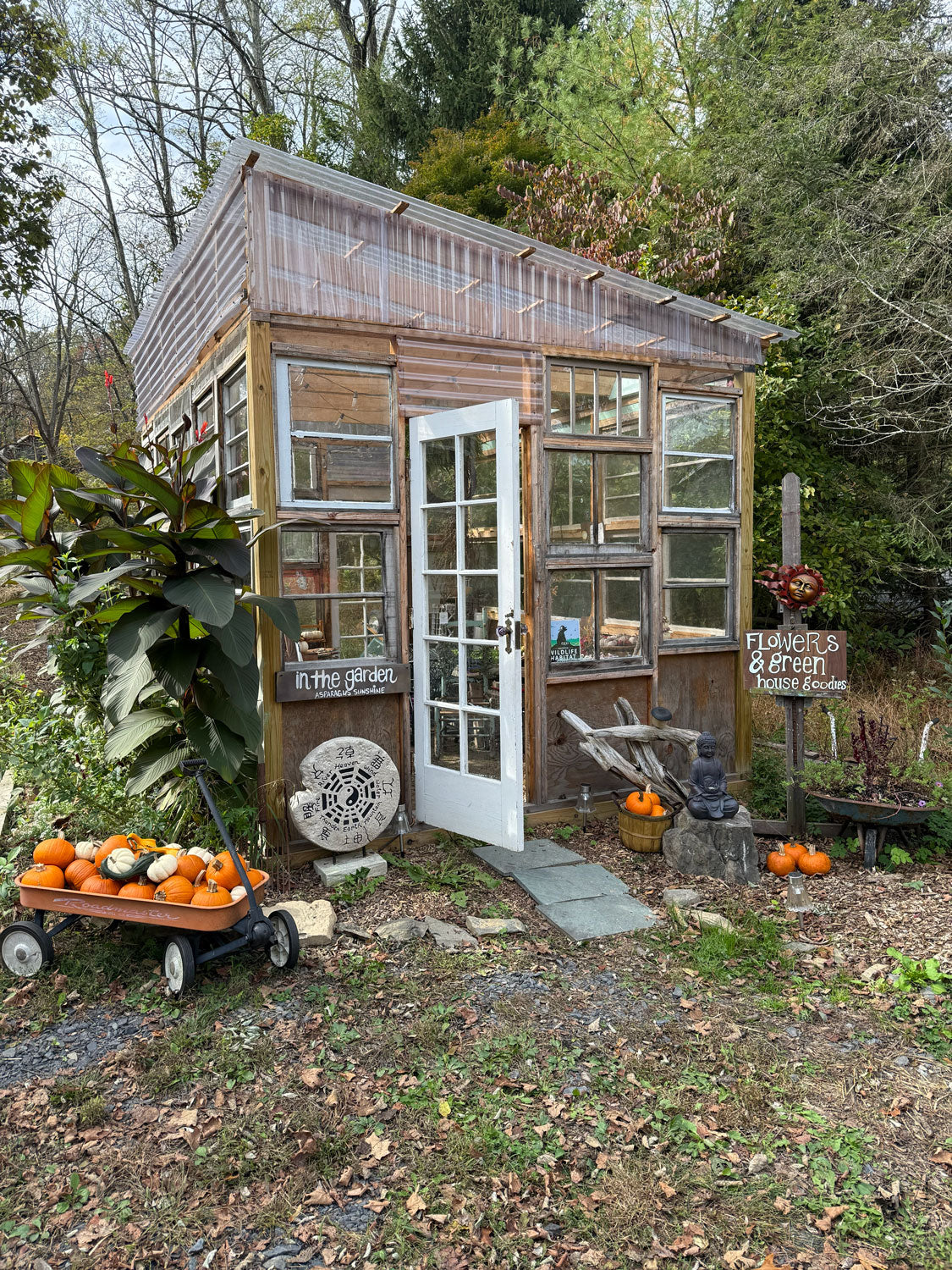 Small wooden house with glass walls in a garden setting, surrounded by pumpkins and autumn decorations.